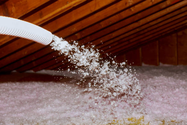 Best Specialized Insulation Services in Clifton Forge, VA