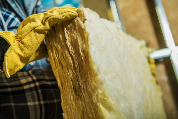 Best Cellulose Insulation in Clifton Forge, VA