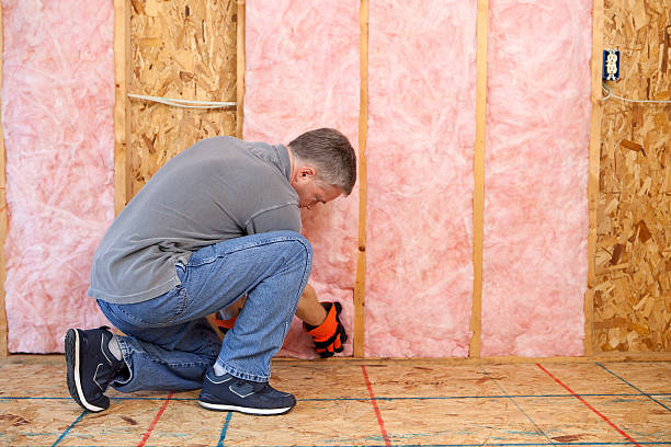 Best Spray Foam Insulation in Clifton Forge, VA