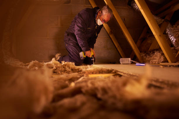 Best Blown-in Insulation in Clifton Forge, VA